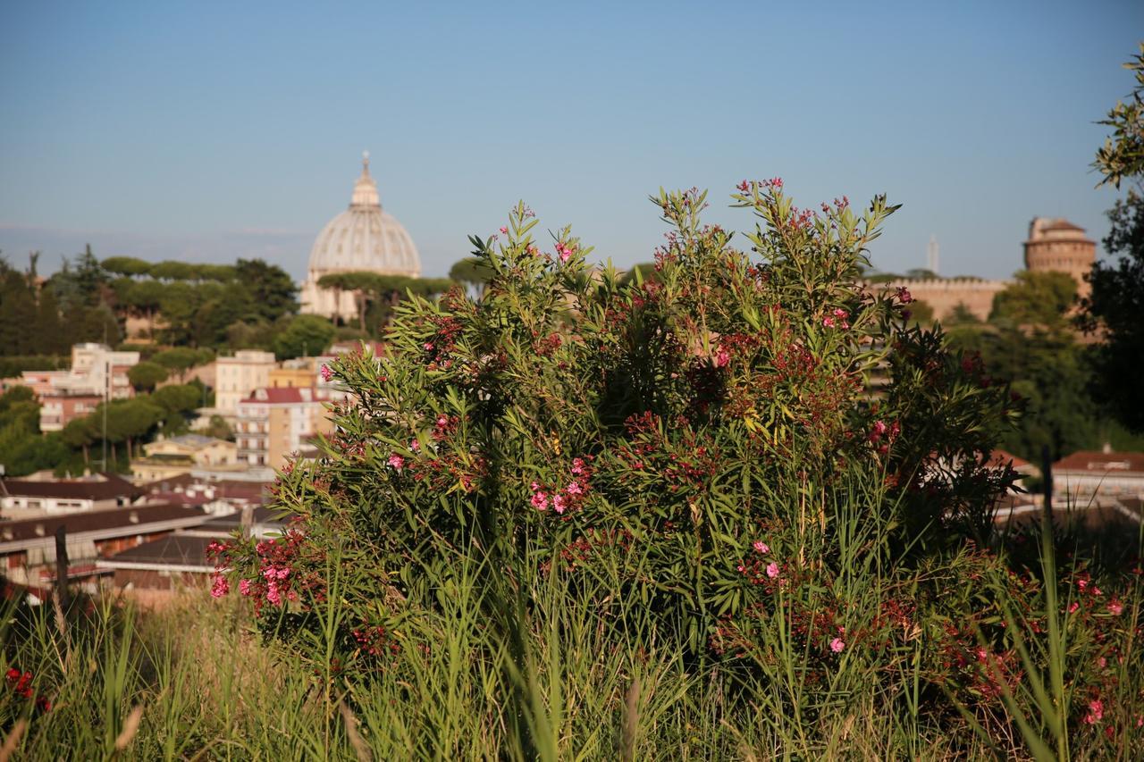 All'ombra Di San Pietro * Roma
